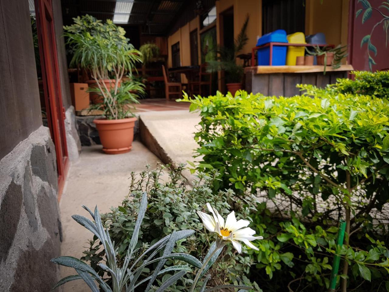 الجبل الأخضر Greemount Hotel المظهر الخارجي الصورة